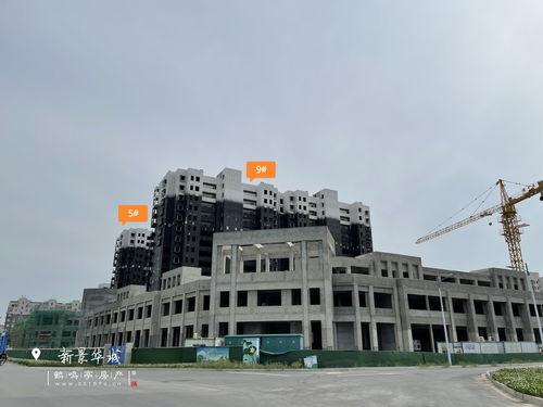 雷电5最新爆料视频下载,揭秘游戏画面与玩法革新，带你领略极致视觉盛宴